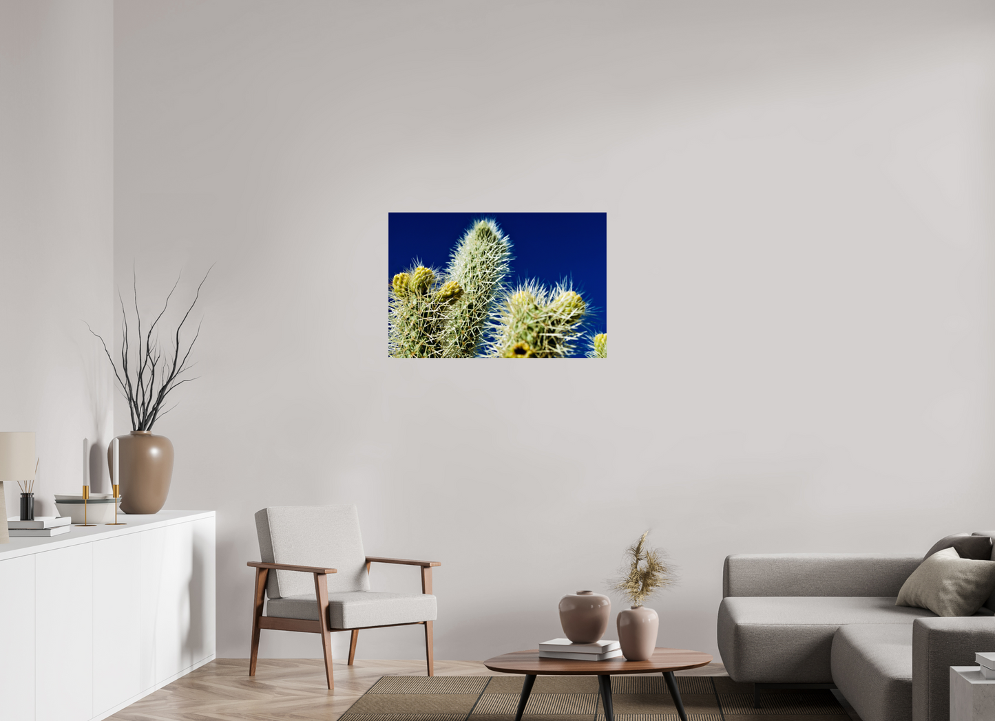 Silver Cholla Blue Sky