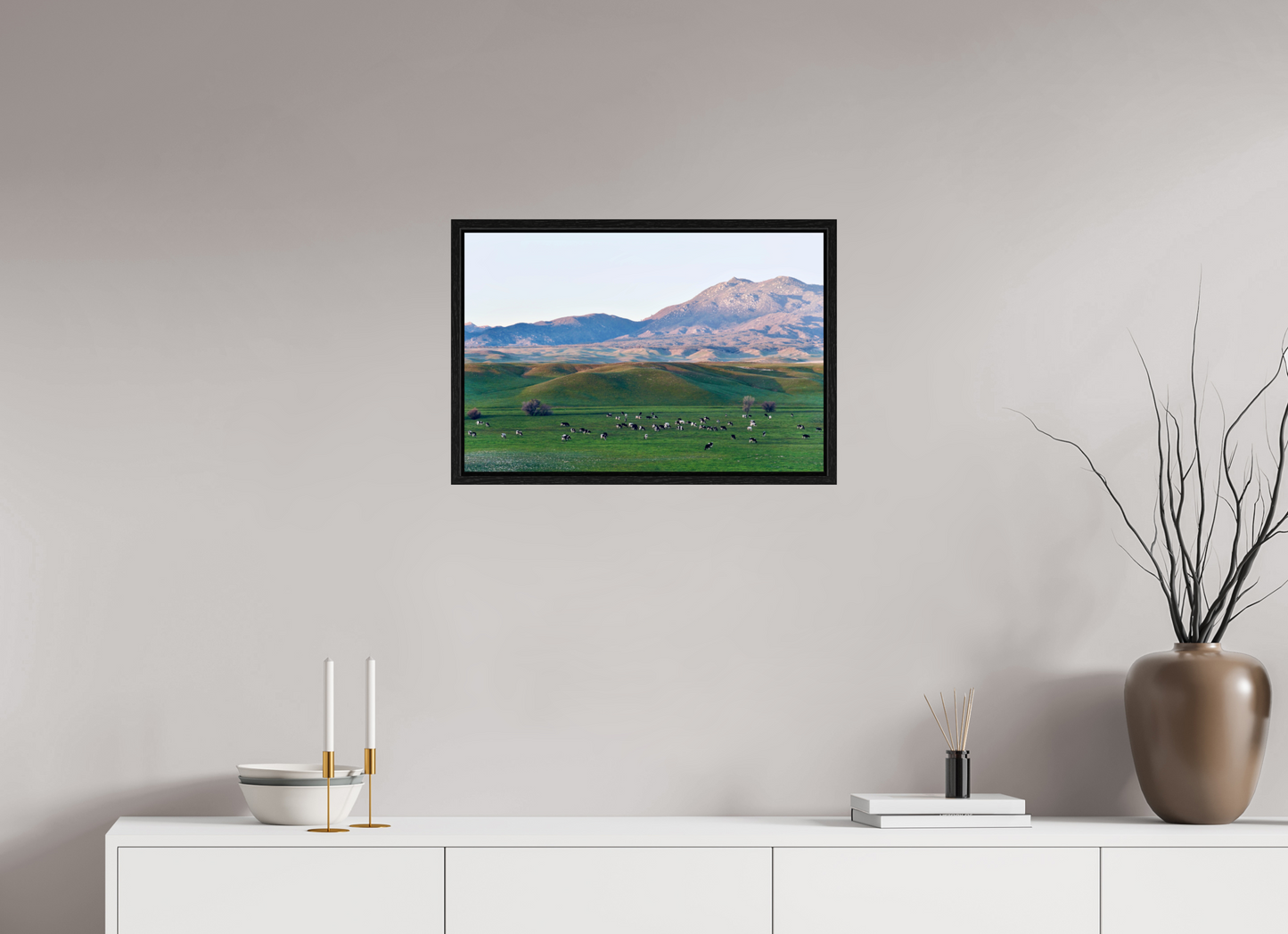 Borrego Springs Cow Grazing Pastures