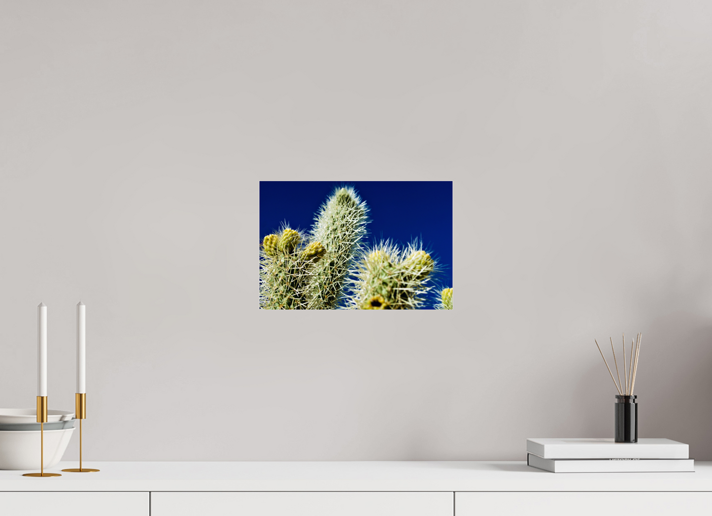 Silver Cholla Blue Sky