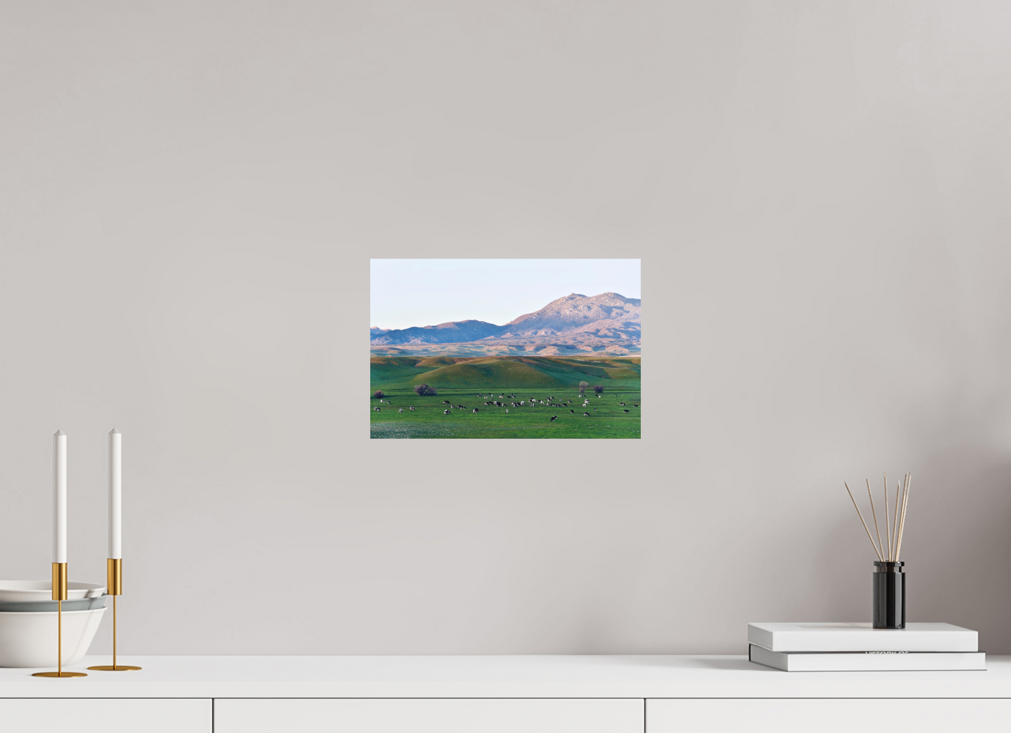Borrego Springs Cow Grazing Pastures