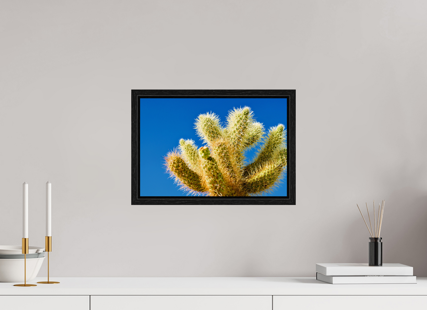 Cactus and Sky