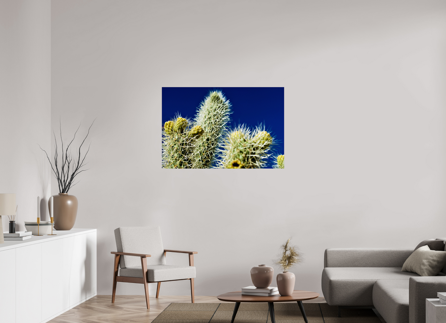 Silver Cholla Blue Sky