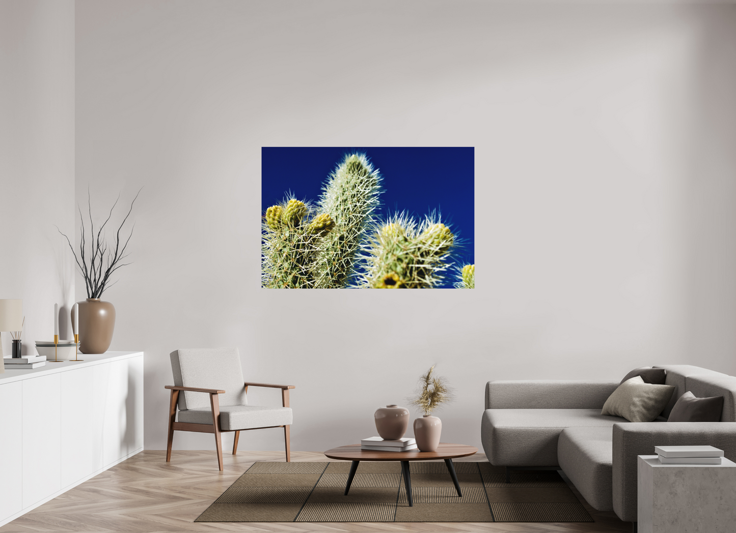 Silver Cholla Blue Sky