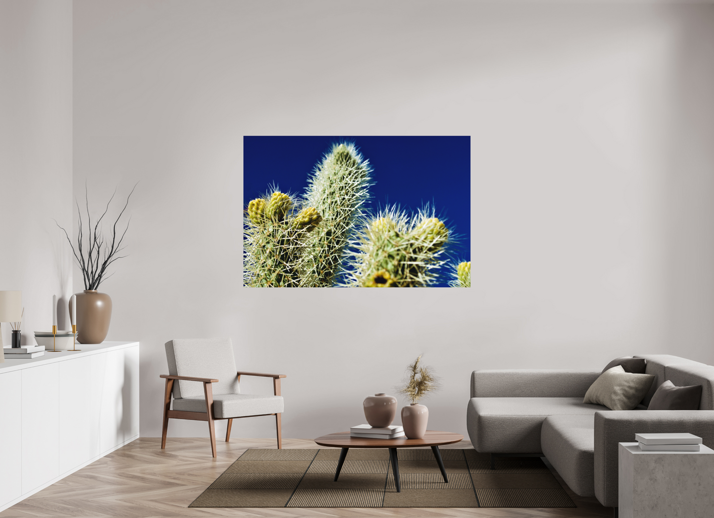 Silver Cholla Blue Sky