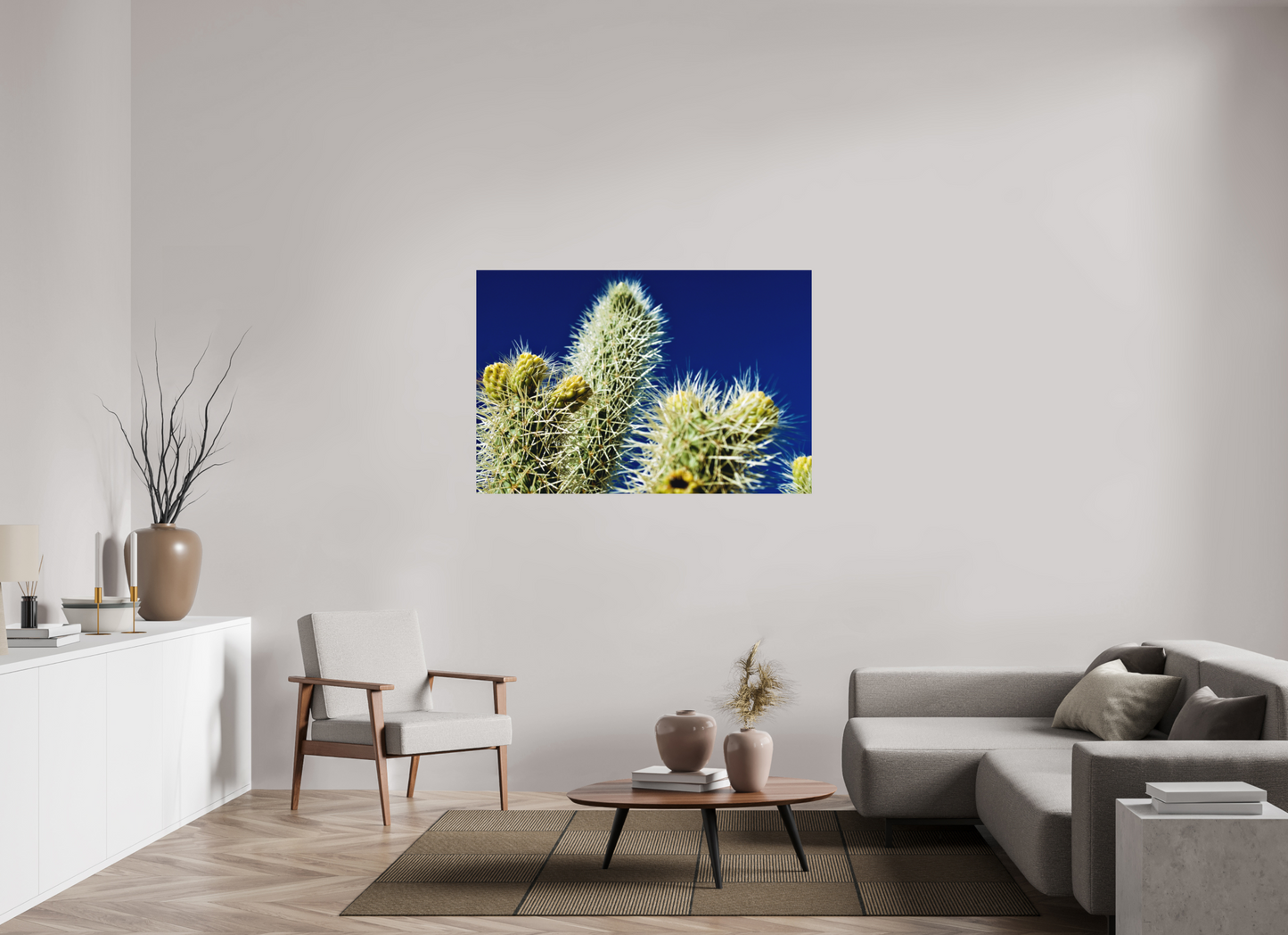 Silver Cholla Blue Sky