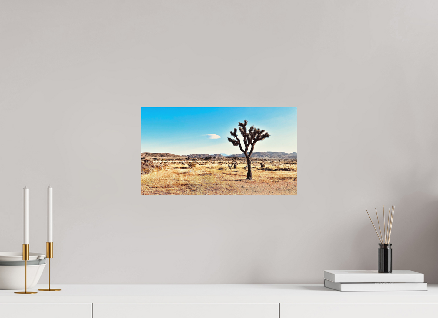 Lone Yucca Valley Joshua Tree