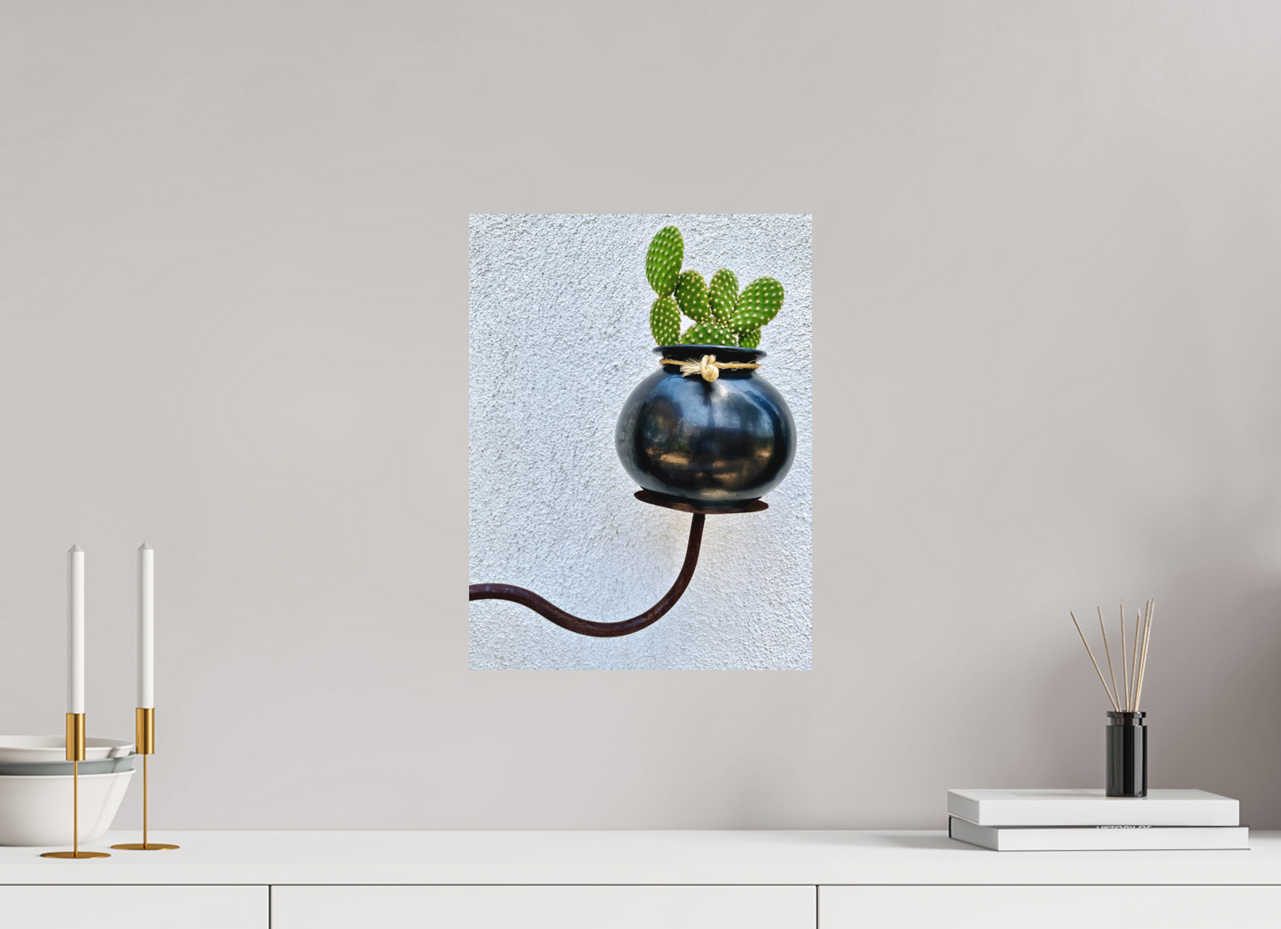 Cactus Pot Display