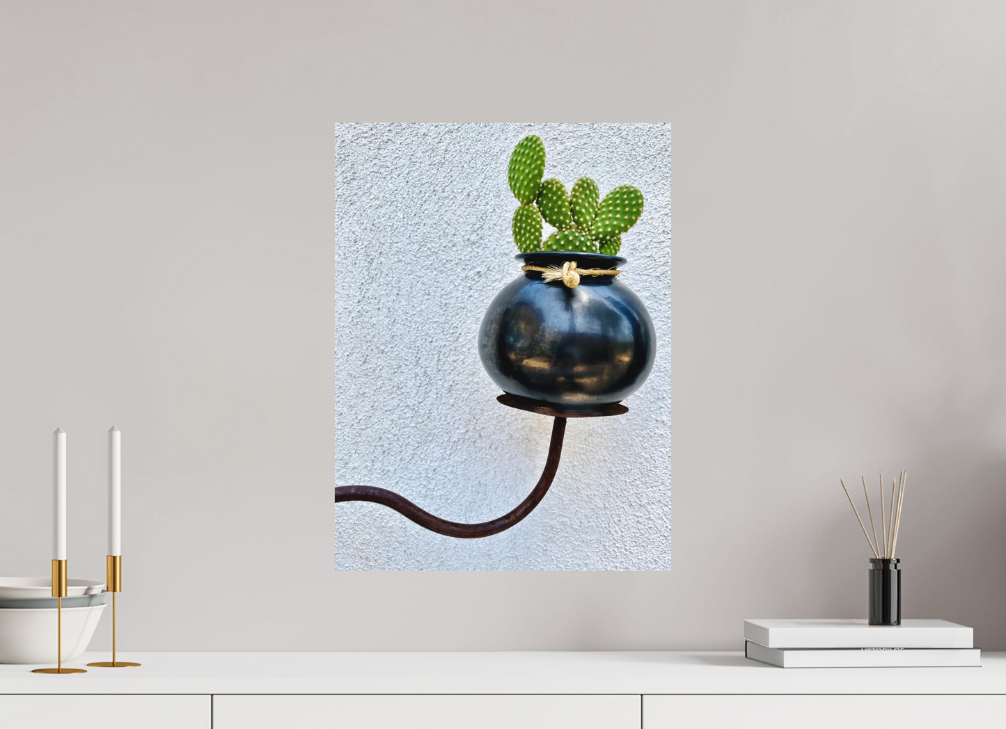 Cactus Pot Display