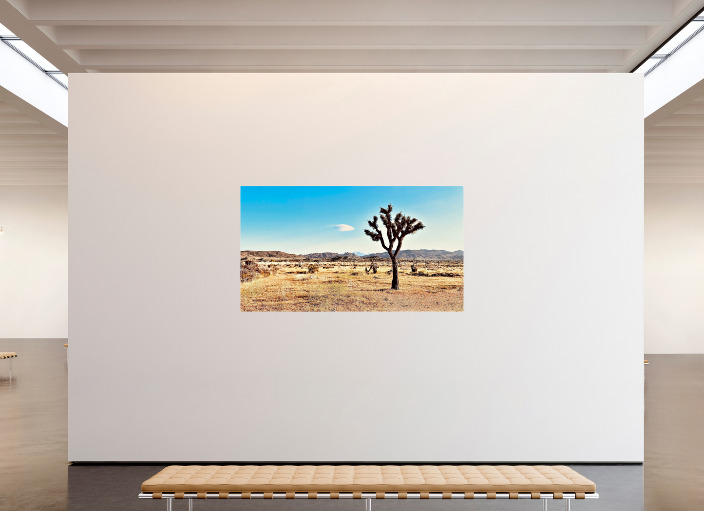 Lone Yucca Valley Joshua Tree