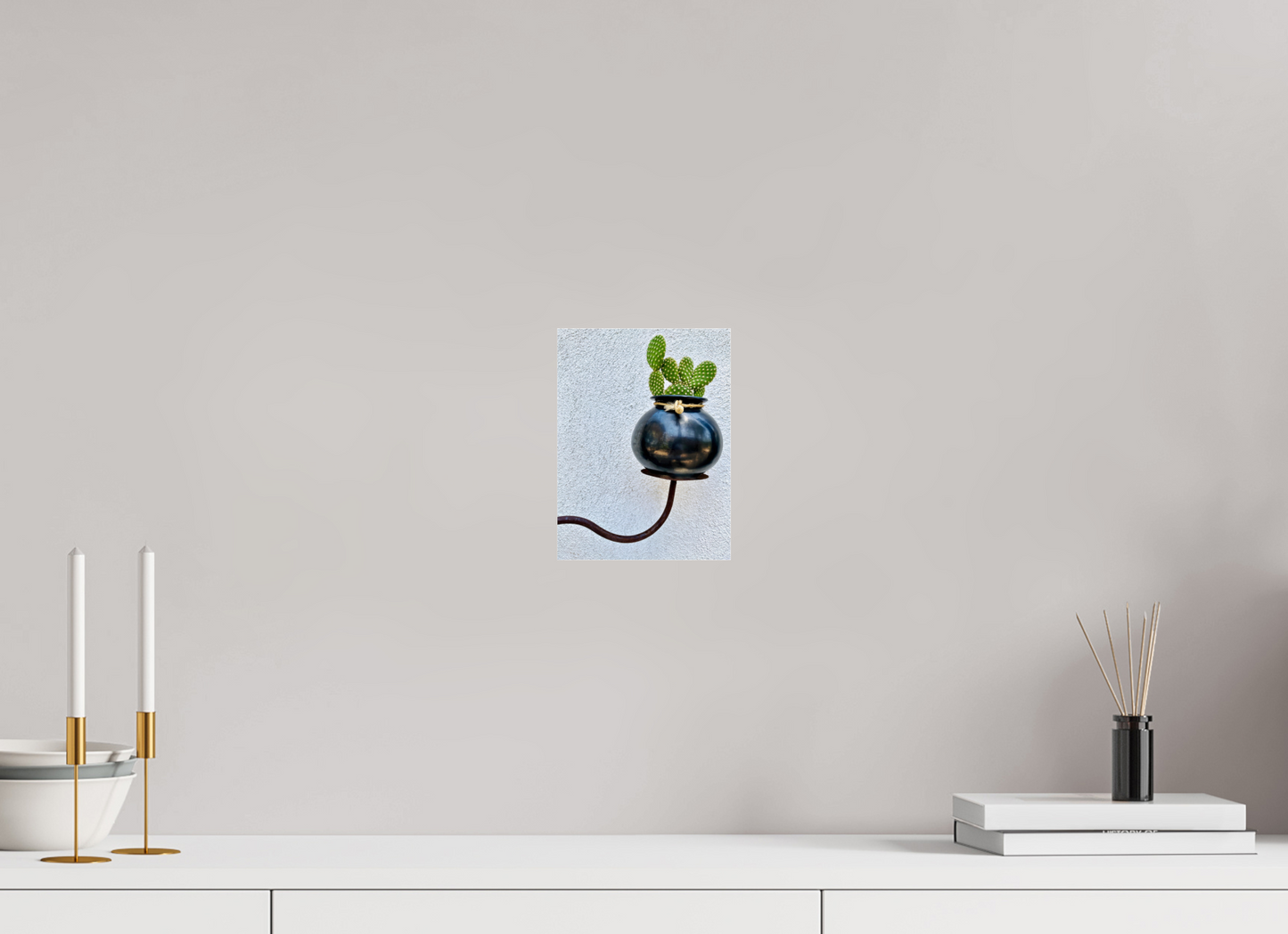 Cactus Pot Display
