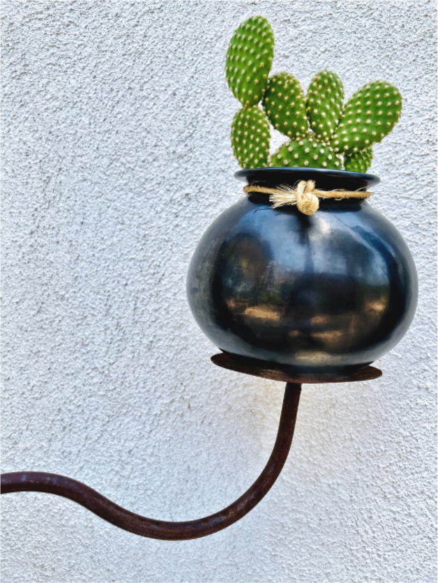 Cactus Pot Display