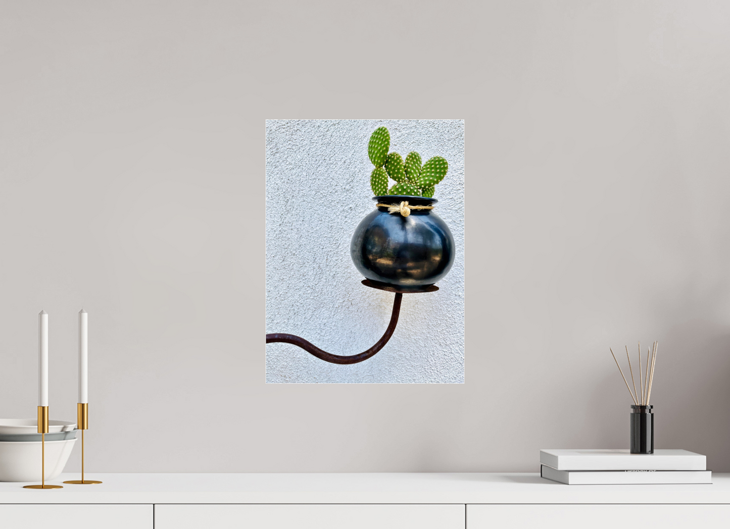 Cactus Pot Display