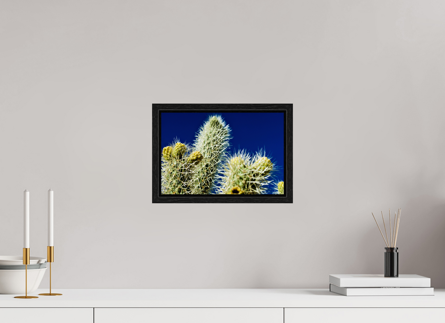 Silver Cholla Blue Sky