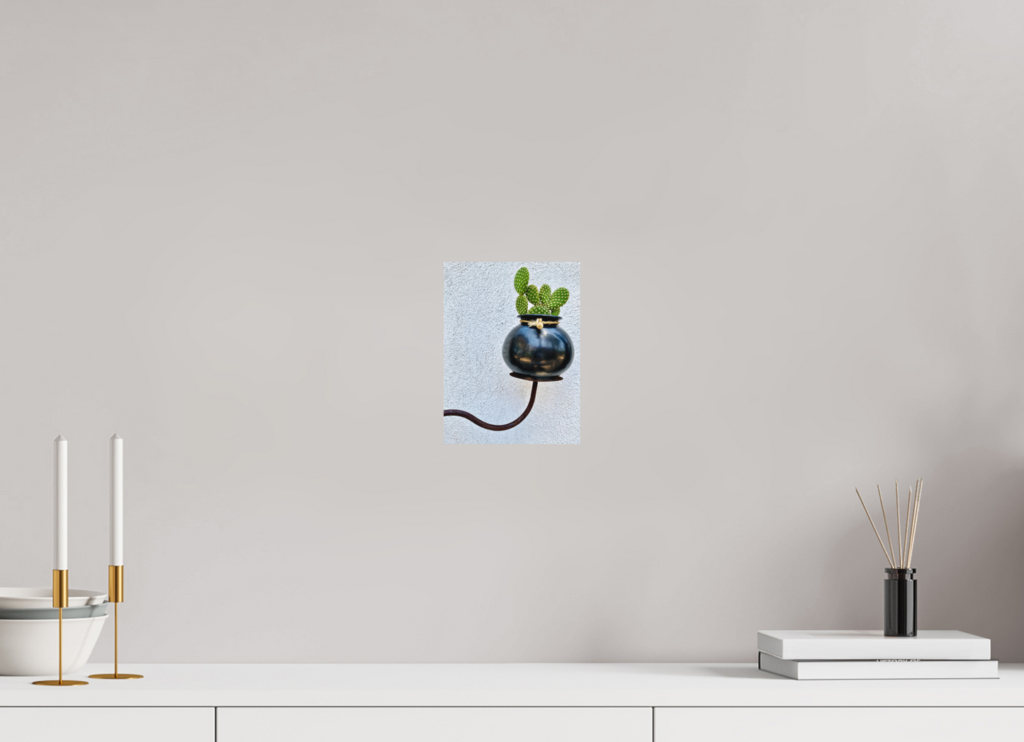 Cactus Pot Display