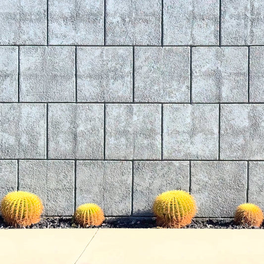 Concrete Cactus Wall