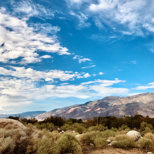 Lone Pine Lands